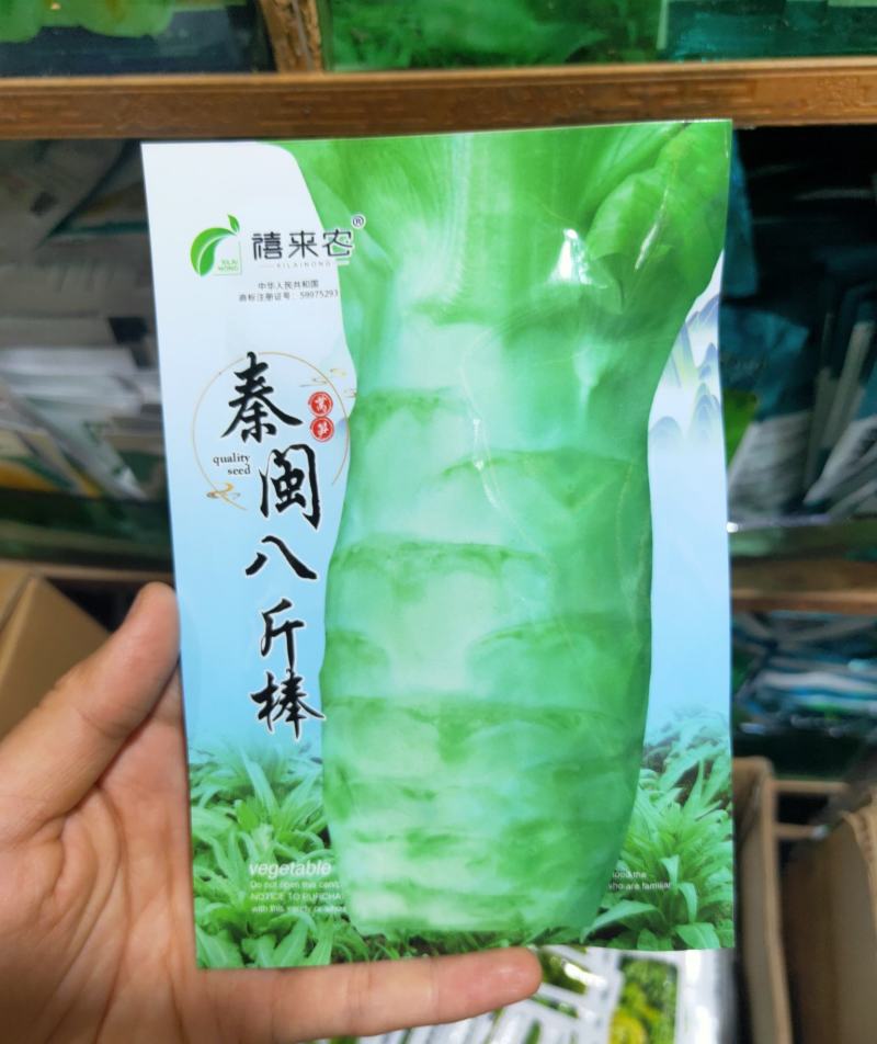 莴笋种子尖叶莴苣种子耐热耐寒四季播种嫩白皮浅绿肉蔬菜种子
