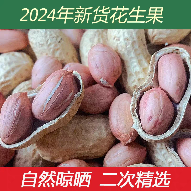 湖北花生花生果产地直发货源充足对接批发商商超