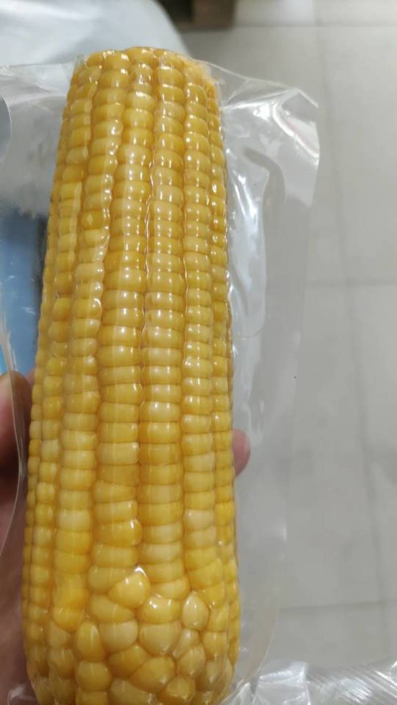 真空东北糯玉米，软糯香甜，当季新货，**特惠！四个颜色