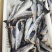单冻明太鱼无头鱼狭鳕鱼鳕鱼海鱼肉嫩刺少单冻深海鳕鱼
