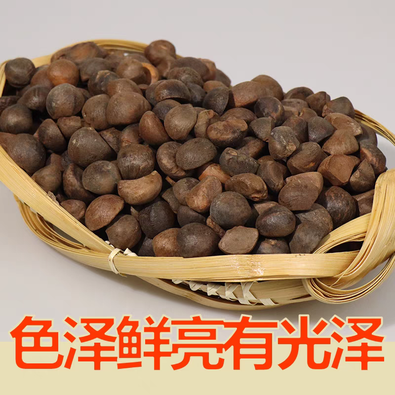 正宗油茶籽油茶籽仁货源充足现货现发欢迎致电下单