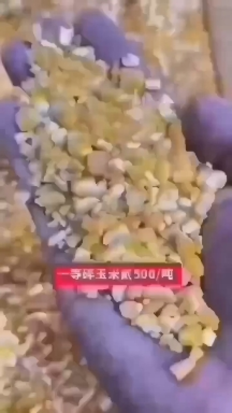 碎玉米净粮无土无沙无霉变喂养鸡鸭鹅猪羊