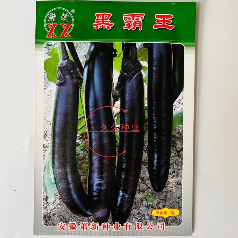 黑霸王茄子种子紫黑长茄中熟紫黑皮长30-40厘米横径6厘