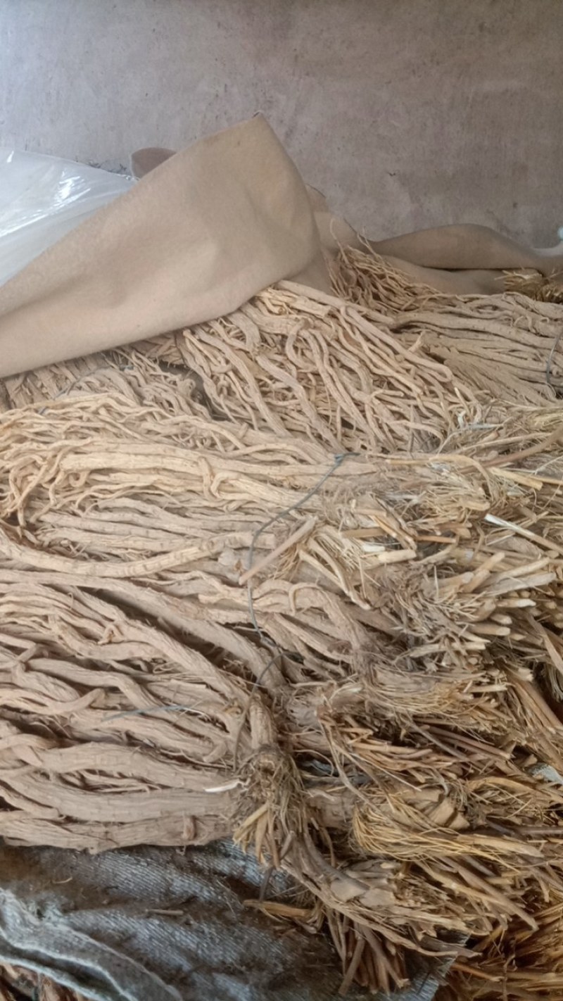 最近关防风持续缓慢涨价。纯无硫