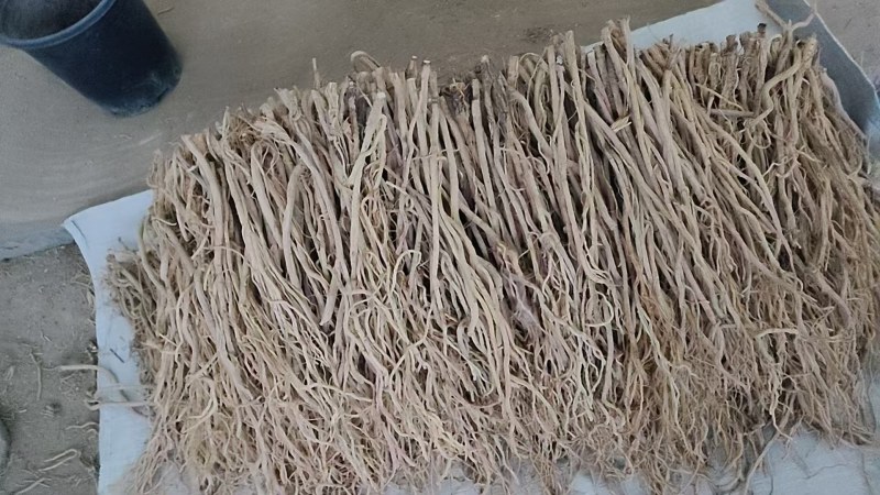 最近关防风持续缓慢涨价。纯无硫