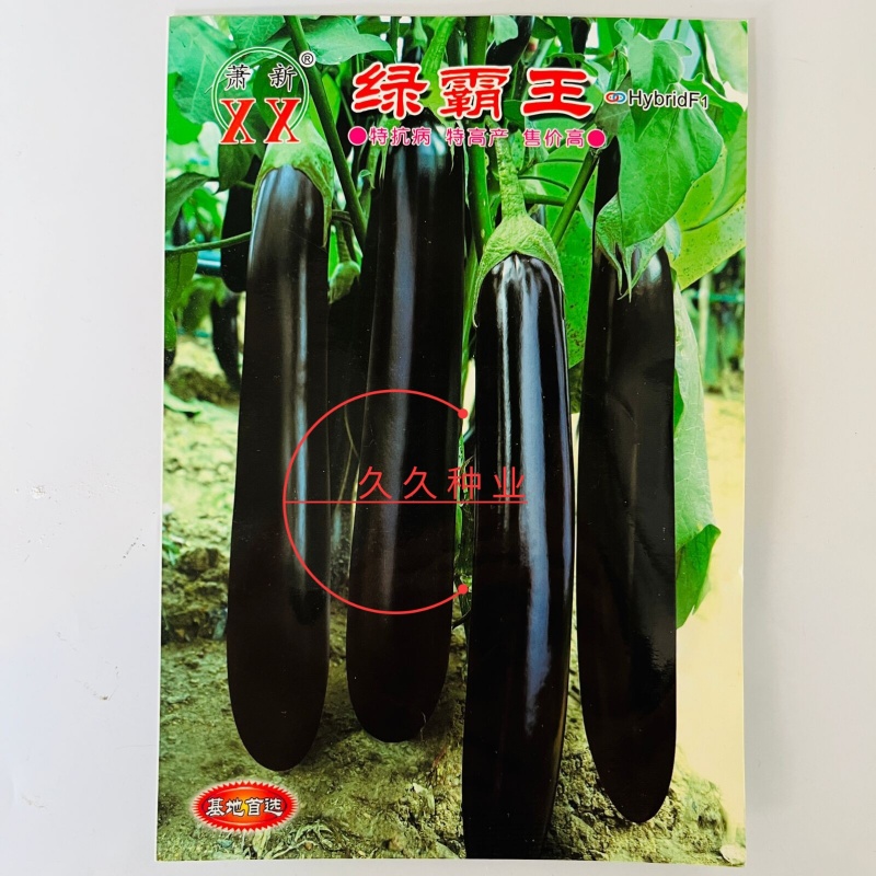 萧新绿霸王茄子种子紫黑长茄籽绿把长茄早熟春播蔬菜种子基地