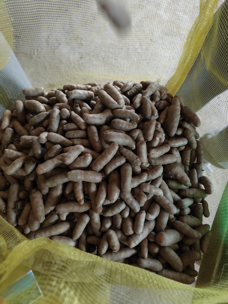 小白嘴白山药豆，大豆，特大豆，中豆小豆