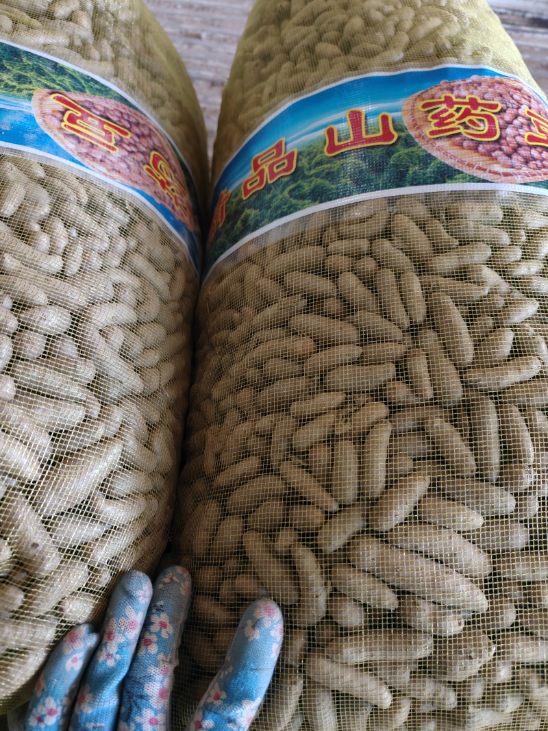 小白嘴白山药豆，大豆，特大豆，中豆小豆