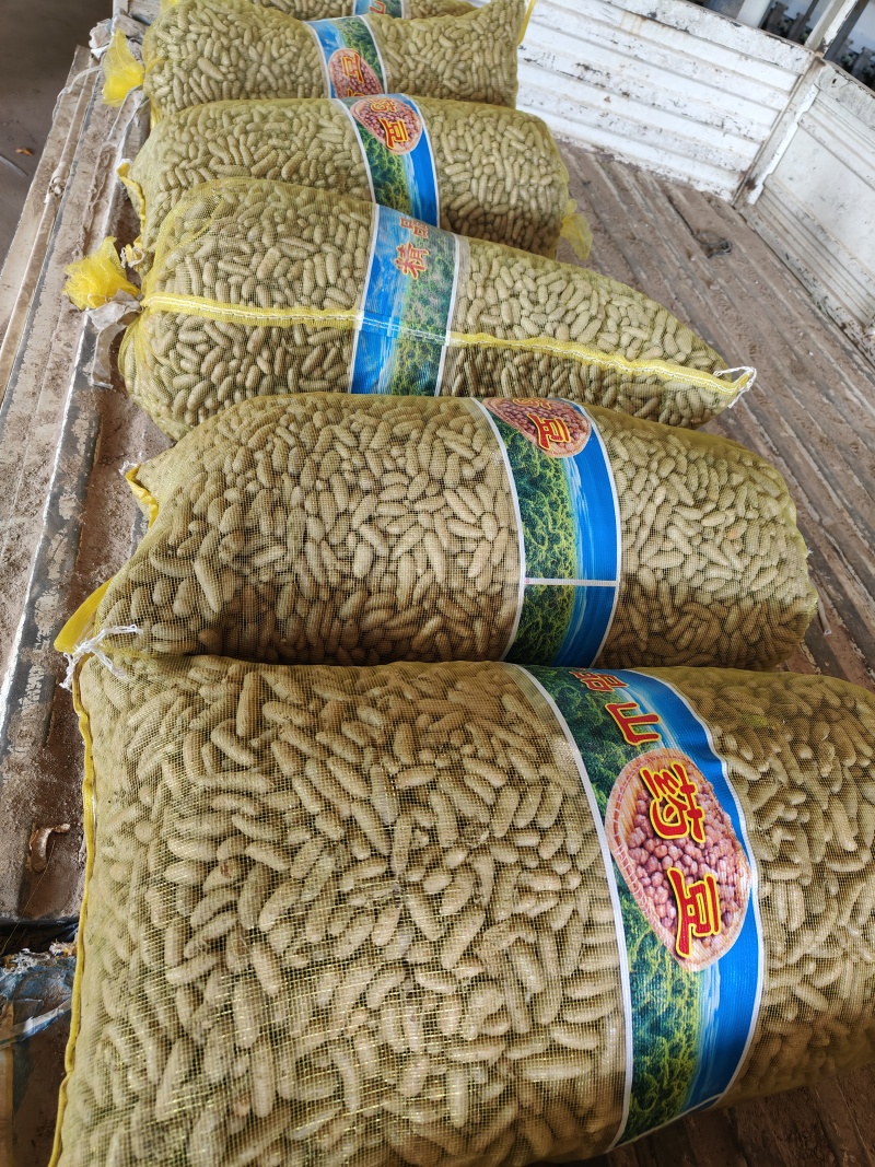 小白嘴白山药豆，大豆，特大豆，中豆小豆