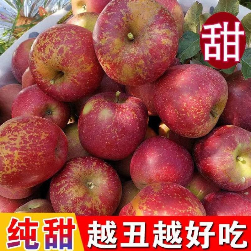 云南昭通丑苹果冰糖心大量现货价格美丽口感清脆对接电商按需