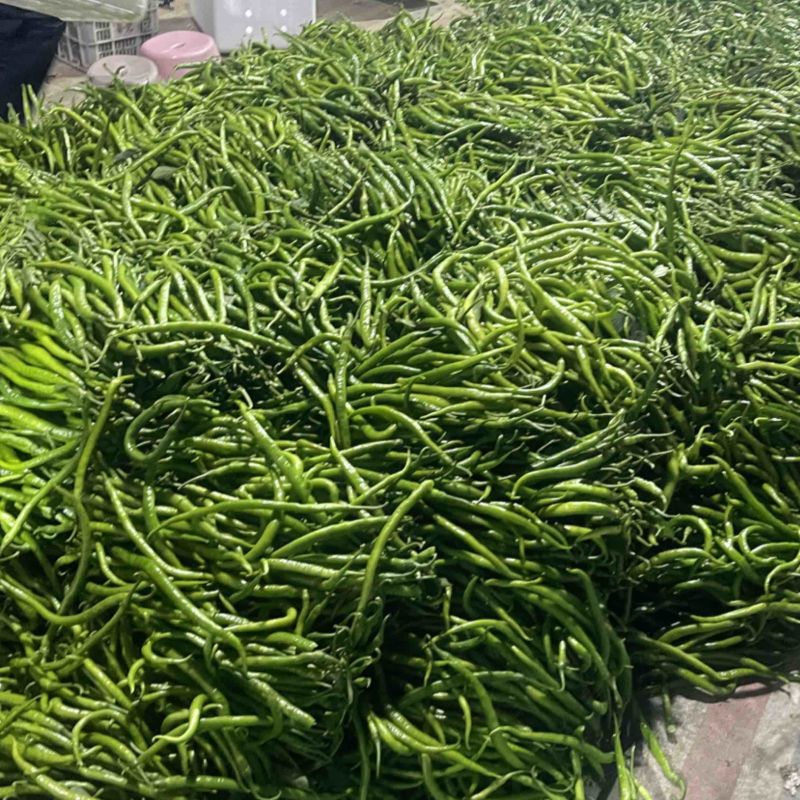 精品青线上市欢迎各位老板前来采购市场电商超市**
