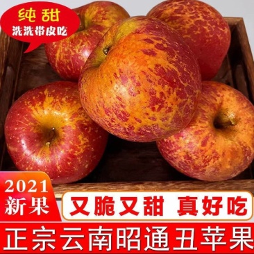 云南昭通红富士高原苹果产地直发大量供应保质保量