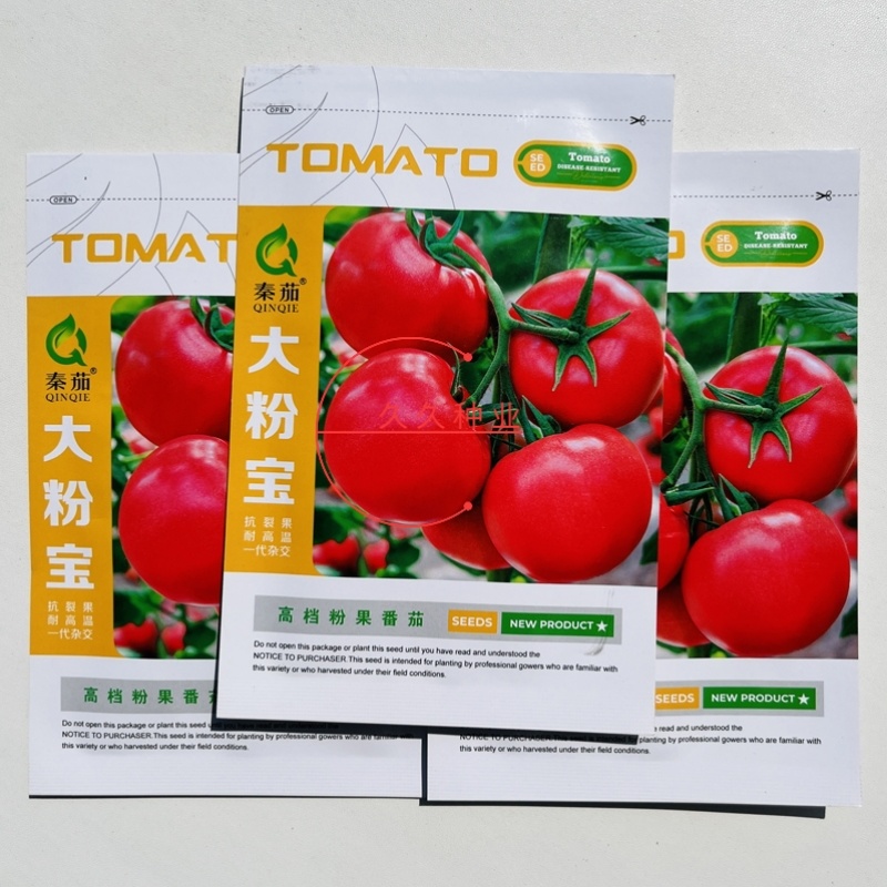大粉宝番茄种子大果西红柿种籽抗病高产阳台盆栽春夏蔬菜种