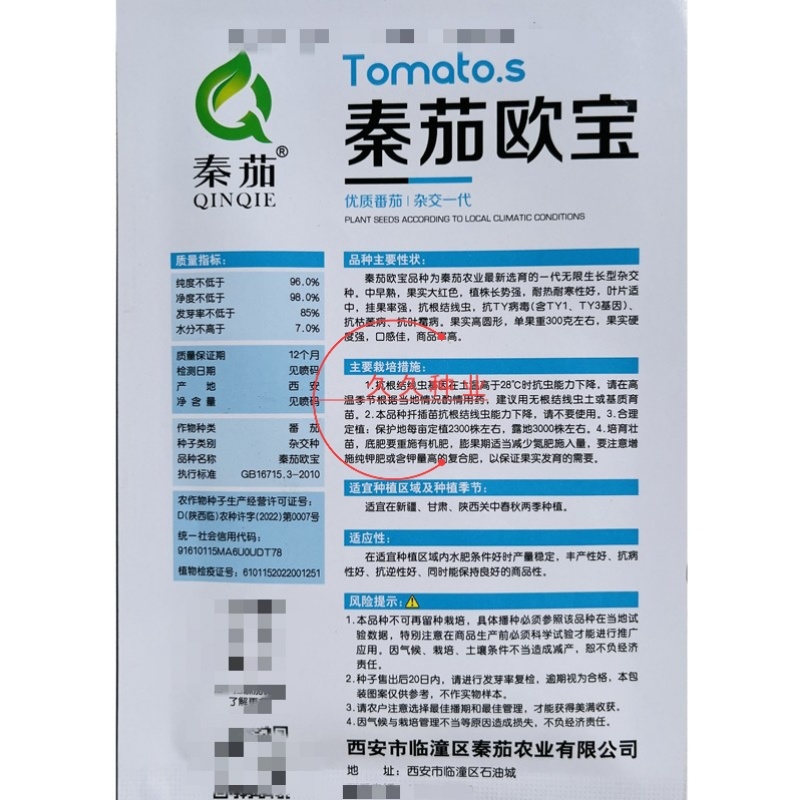 秦茄欧宝番茄种子粉果抗病早熟耐储运产量高西红柿种