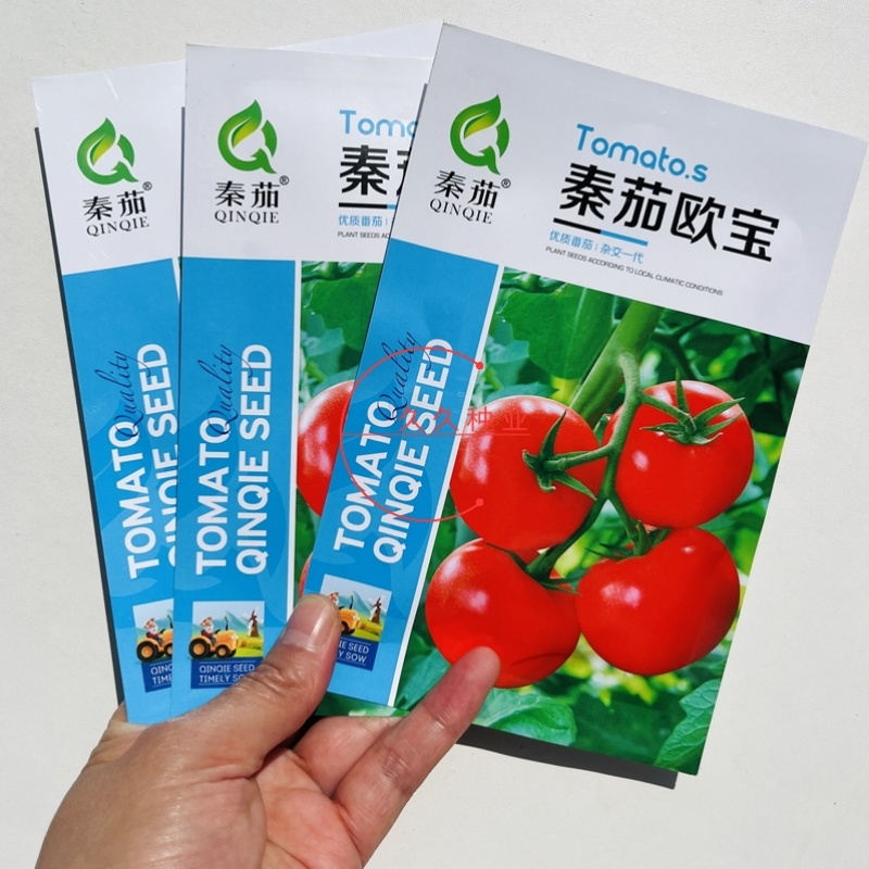 秦茄欧宝番茄种子粉果抗病早熟耐储运产量高西红柿种
