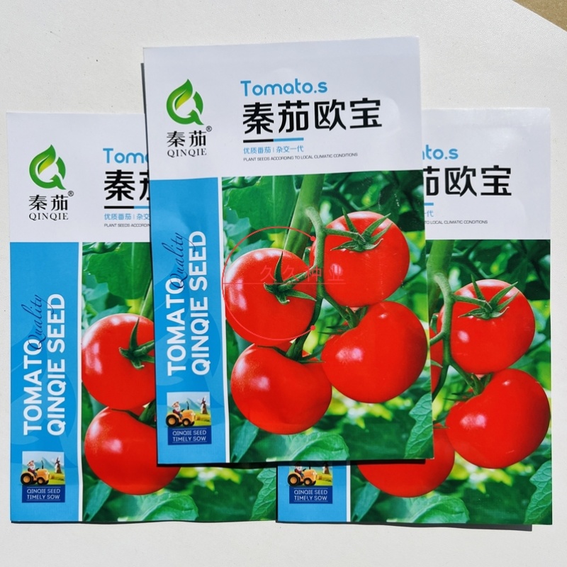 秦茄欧宝番茄种子粉果抗病早熟耐储运产量高西红柿种