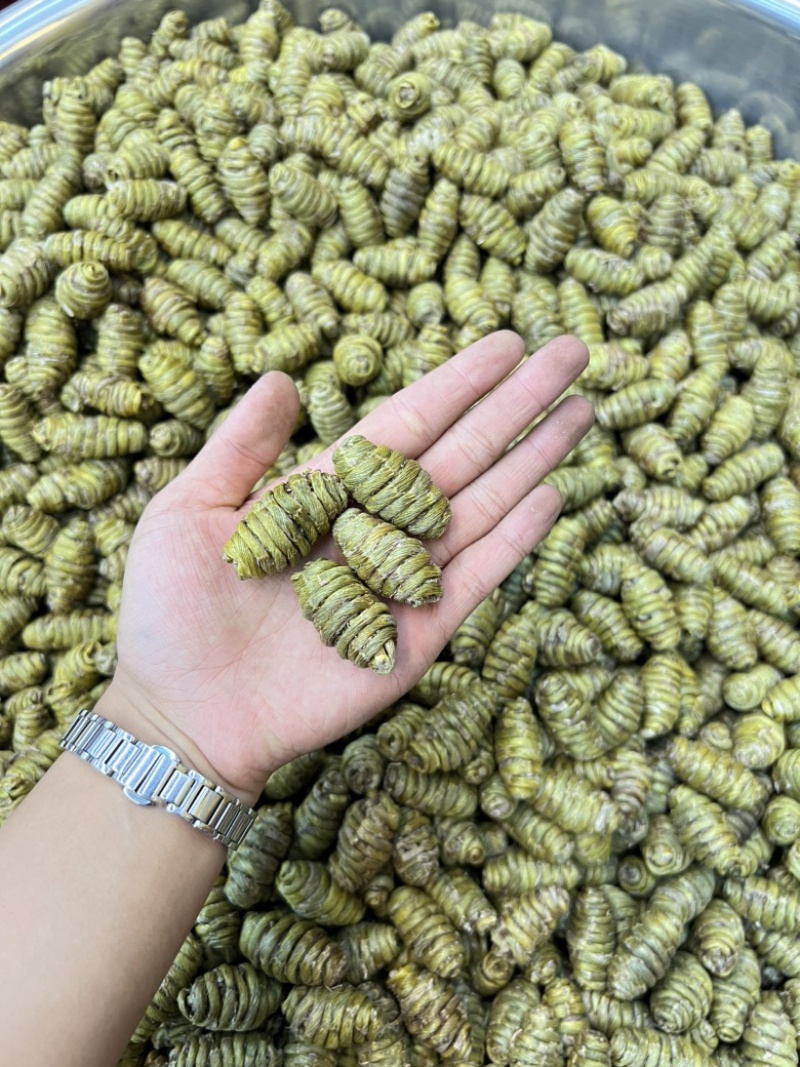 铁皮石斛枫斗2.0颗粒规格齐全，货源充足，可视频看货