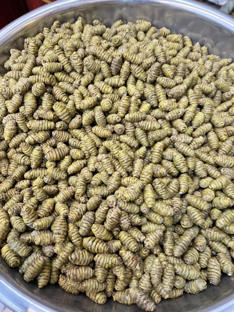 铁皮石斛枫斗2.0颗粒规格齐全，货源充足，可视频看货