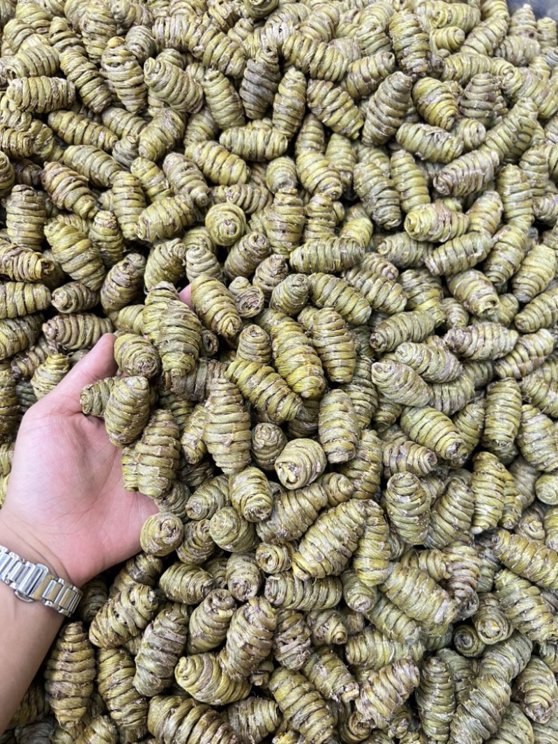 铁皮石斛枫斗2.0颗粒规格齐全，货源充足，可视频看货