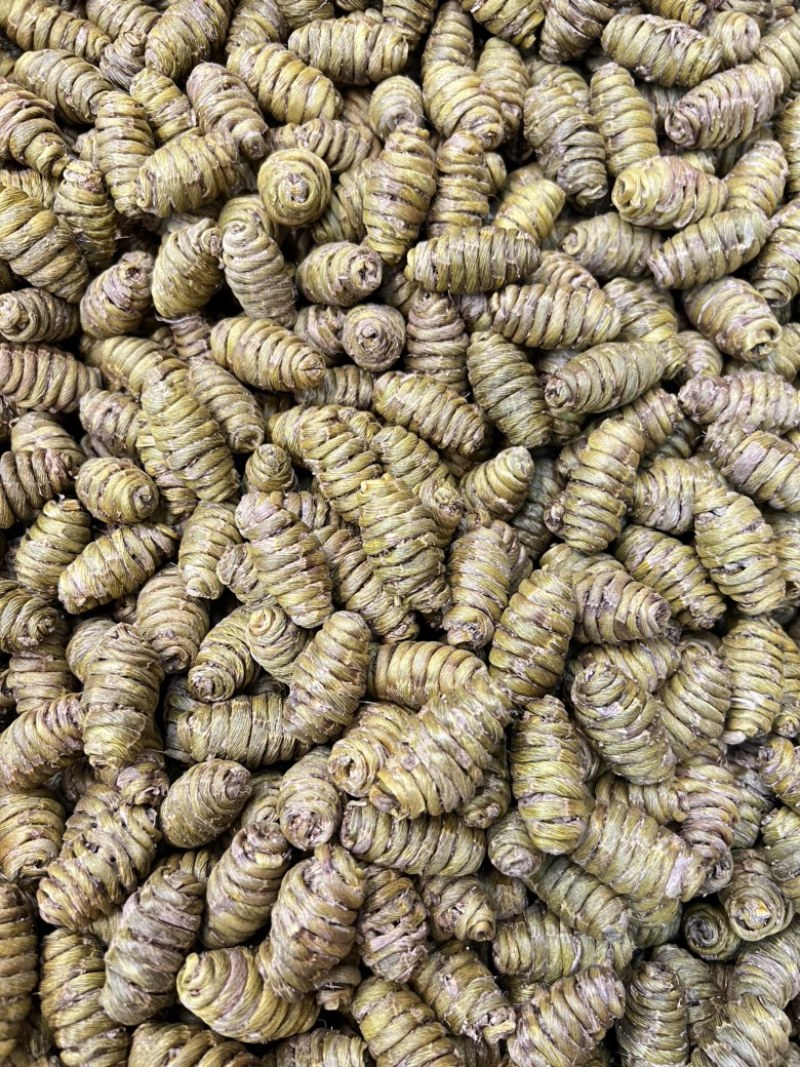 铁皮石斛枫斗2.0颗粒规格齐全，货源充足，可视频看货