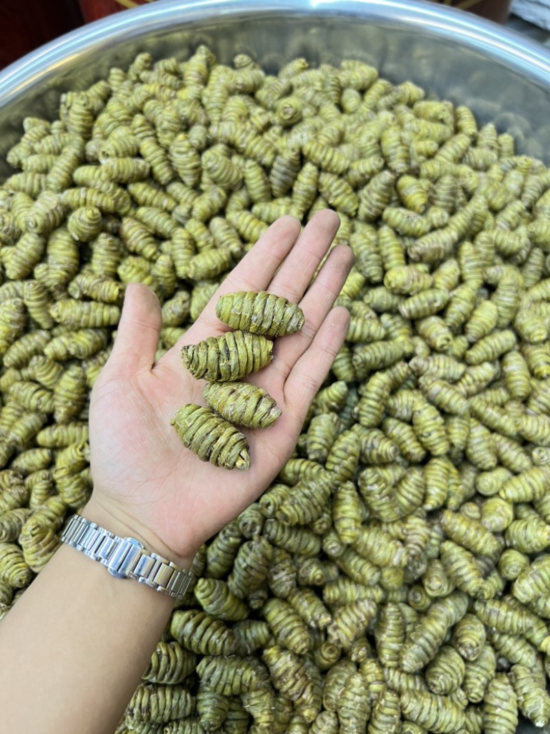铁皮石斛枫斗2.0颗粒规格齐全，货源充足，可视频看货