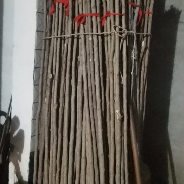 效应棒，常年供应各种规格效应棒