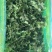 大叶香菜，品质保证，现摘现发，大量有货，欢迎选购