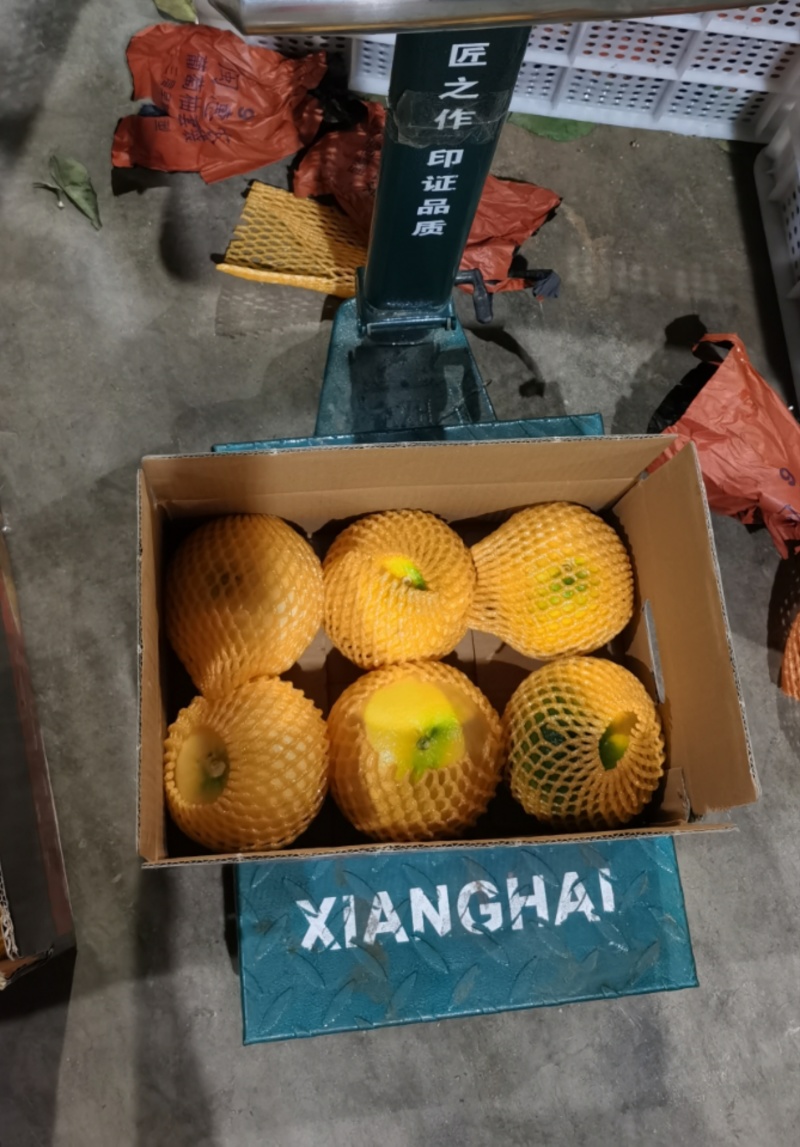 黄金葡萄柚大量供应，落地配社区团购，电商一件代发