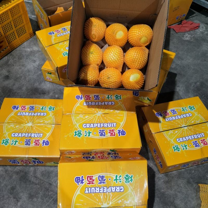 黄金葡萄柚大量供应，落地配社区团购，电商一件代发