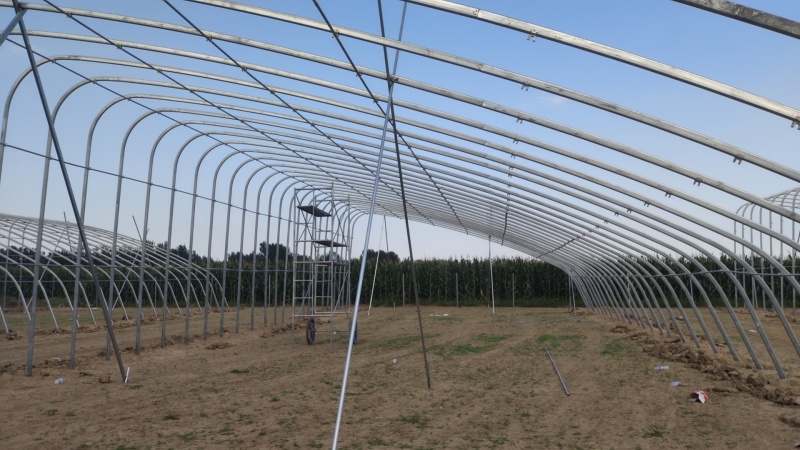 成套大棚蔬菜种植大棚菌菇养殖大棚可安装养殖大棚欢迎咨询
