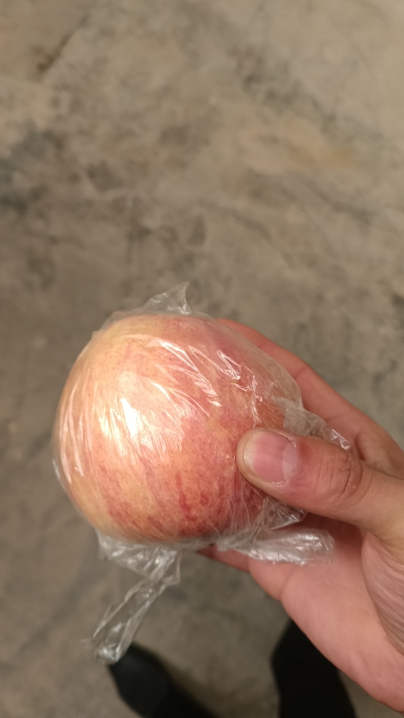 礼泉莫袋富士，口感脆甜个大色好，对接电商平台