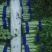 尖叶莴笋莴苣山东莴笋产地直发品质保障量大从优