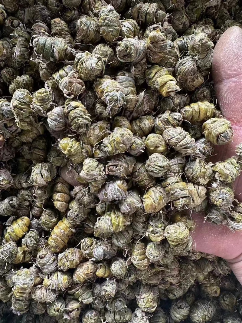 新鲜正宗云南霍山铁皮石斛铁皮枫斗颗粒干条可代打粉煲汤可食