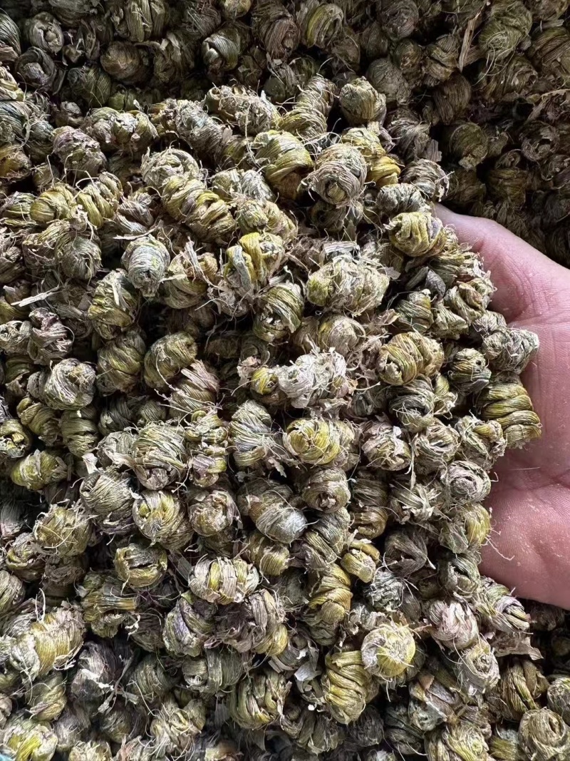 新鲜正宗云南霍山铁皮石斛铁皮枫斗颗粒干条可代打粉煲汤可食