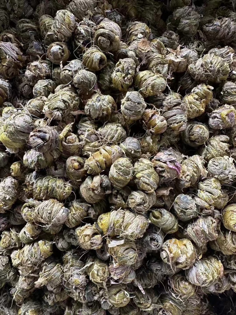 新鲜正宗云南霍山铁皮石斛铁皮枫斗颗粒干条可代打粉煲汤可食