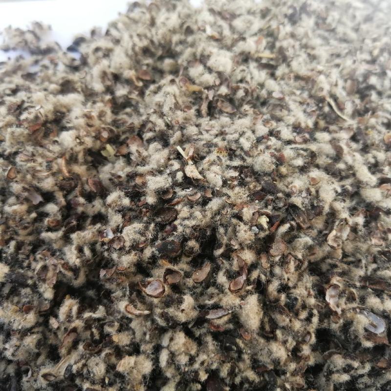 新疆棉籽壳食用菌专用棉籽壳大棚里用棉籽壳