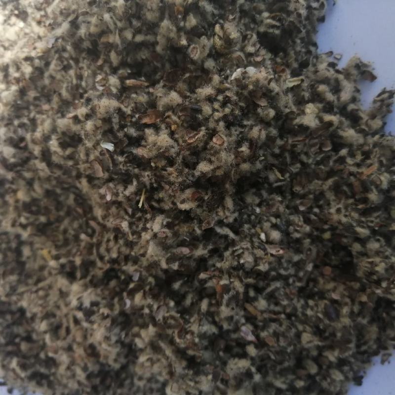 新疆棉籽壳食用菌专用棉籽壳大棚里用棉籽壳