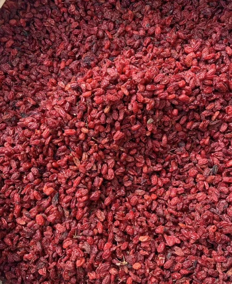 山茱萸野生山茱萸