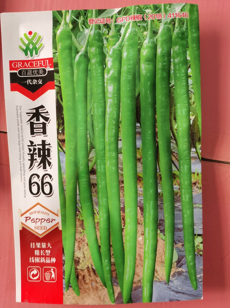 艳椒11号香辣66干鲜两用高辣度香辣抗病一代杂交