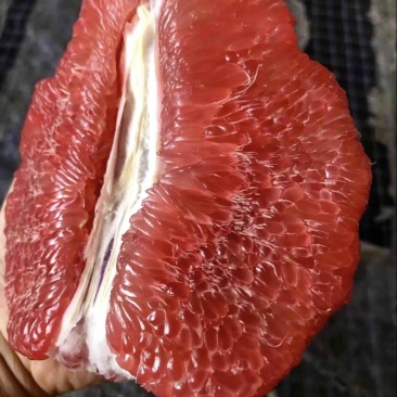 福建平和三红柚，产地直发，皮薄肉多，水分充足，欢迎选购！