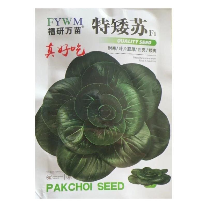 特矮苏苏州青种子，100克