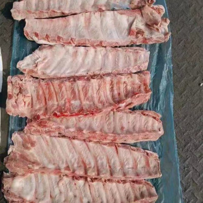 709母猪寸排