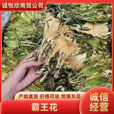 霸王花干无硫新货产地直销，一件20斤，颜色绿