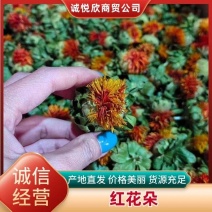 2026年新货红花草红花红花果江湖产品地摊跑量