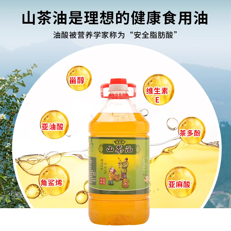 湖北山茶油油茶油一手货源全国代发规格齐全欢迎下单