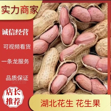 湖北花生花生果产地直发货源充足对接批发商商超