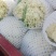 陕西散花大量上市，