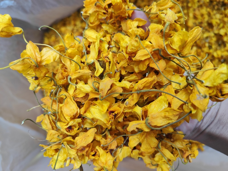 束花石斛花_干花