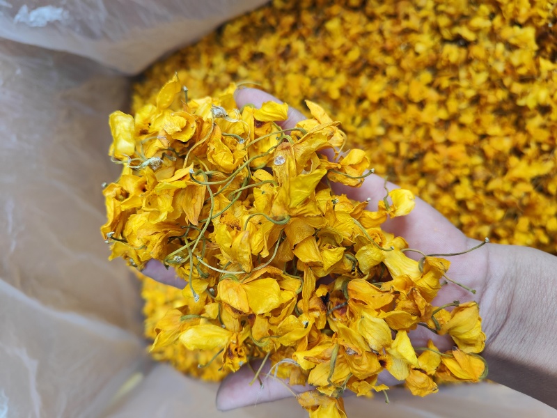 束花石斛花_干花