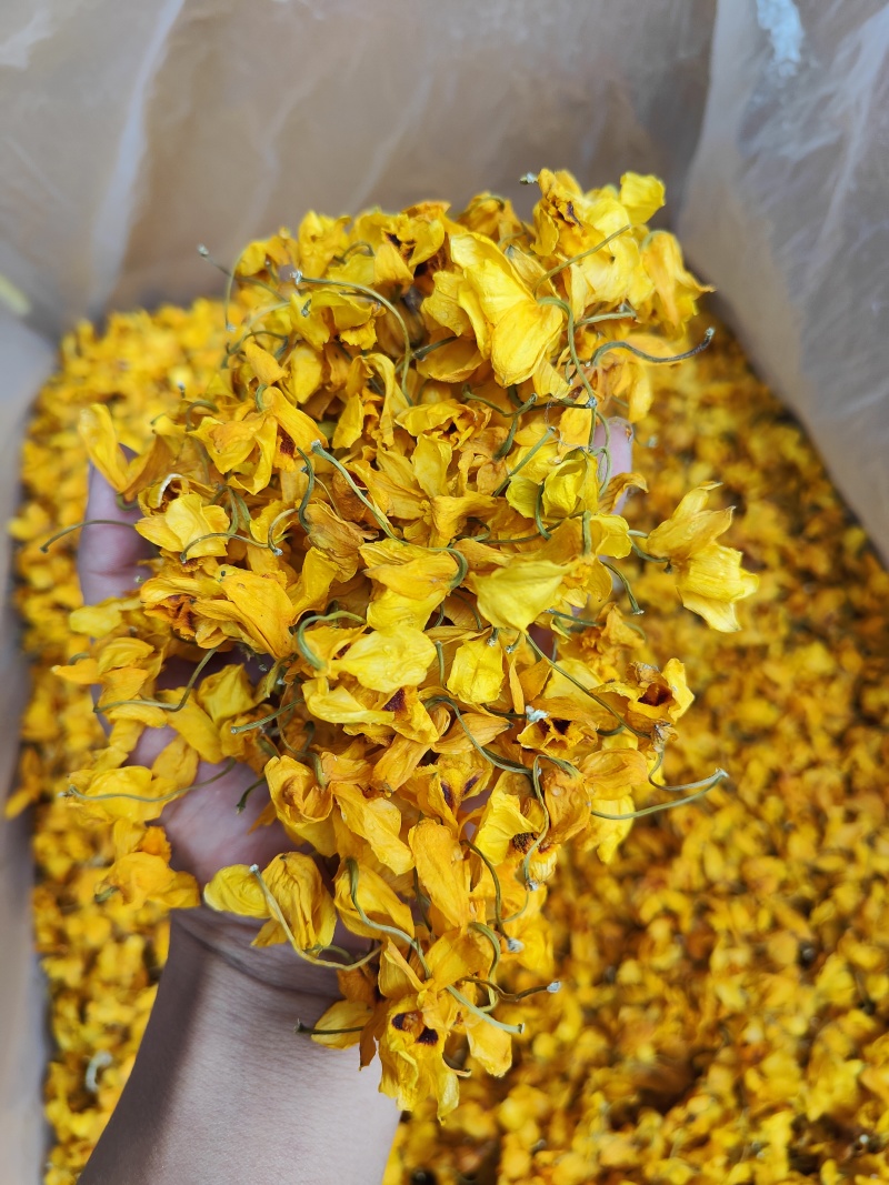 束花石斛花_干花